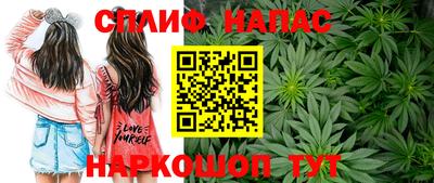 СК Жуковский