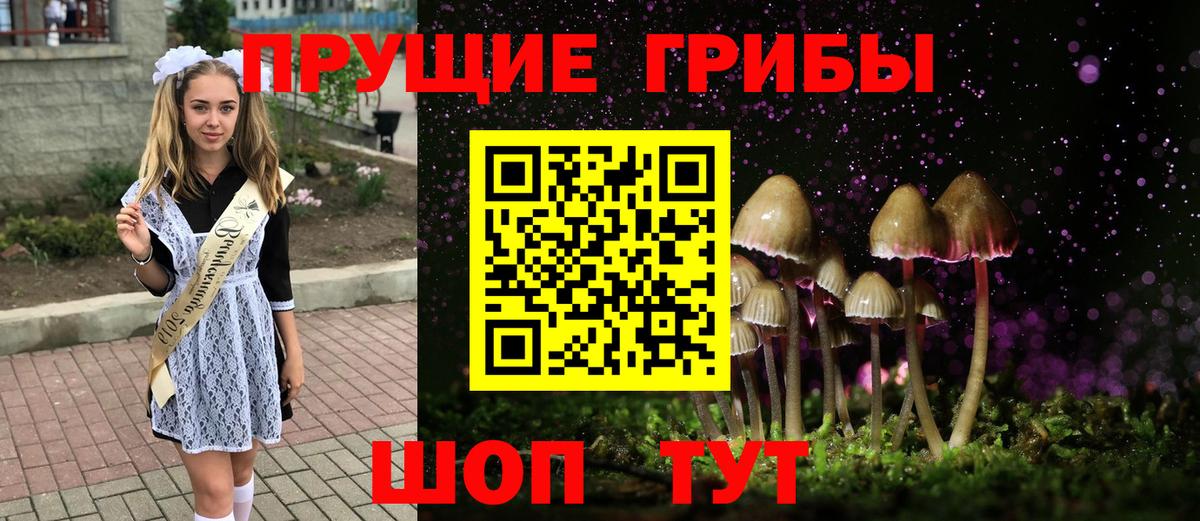 Кунгур  Псилоцибиновые грибы Psilocybine cubensis  купить наркотики сайты  Вход с VPN  Псилоцибиновые грибы мицелий 